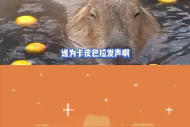 卡皮巴拉：喂我花生！喂我花生！ #冒险者日记 #沉浸式卡皮巴拉扮演手游@冒险者日记