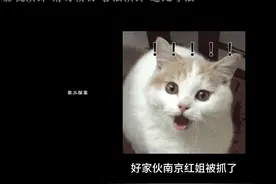 好家伙！南京红姐被抓了！ #真实还原 #南京红姐 #吃瓜 #社会百态