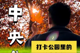 重庆中央公园 我想了所有关于初冬的文案视频封面