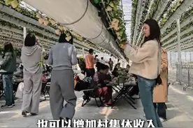 #杭州这个农场站着就能摘草莓 ！一天营业额近20万，助力乡村共富！（来源：@草莓君主题农场 ）视频封面