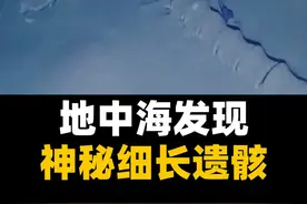 不可思议的发现：地中海海底发现神秘遗骸，究竟是什么？视频封面
