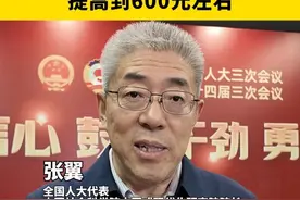 全国人大代表张翼建议，从现在起到2035年，将农民基础养老金提高到600元左右。#养老金 #养老 #2025全国两会视频封面