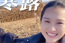 寒露的启示是遇寒蛰伏，待一朝破土。即便身为蝼蚁，也应心有鸿鹄。#乡村守护人#乡村英才计划 #东北张姑娘 #二十四节气 #寒露视频封面
