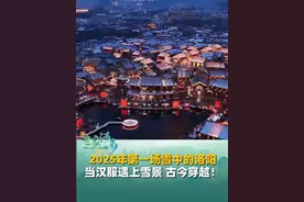 洛阳古城披银纱，雪花轻舞映千年。2025年第一场雪中的神都洛阳，当汉服遇上雪景，古今穿越！#洛阳 #下雪 #旅游