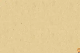 2. 一般现在时的用法
