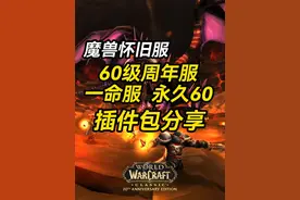魔兽国服60怀旧/硬核服/永久60通用的两款清爽简洁插件包视频封面