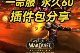 魔兽国服60怀旧/硬核服/永久60通用的两款清爽简洁插件包视频封面