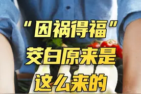 #蔬菜 茭白竟然是从#谷物 中国菰演变来的！#长知识