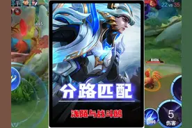 浅陌撞车战斗鹅，分路匹配机制引争议！ #王者荣耀视频封面