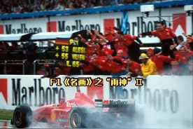 F1《名画》之“雨神”Ⅱ #F1名场面 #雨战之王 #舒马赫 #维特尔视频封面