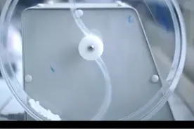 前有爱尔后有通策，新晋的顶流的葛兰还好吗？#人物故事 #商业故事 #财经知识 #涨知识 #投资理财 视频封面