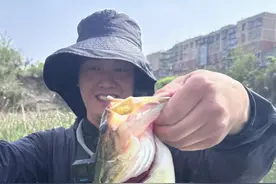 各位路亚钓友是怎么寻找、怎么维护自己的自留地的？ #路亚自留地 #钓鱼自留地 @阿茜视频封面