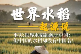 水稻起源中国，可水稻为什么却不叫“中国稻”？？？ 水稻起源视频封面