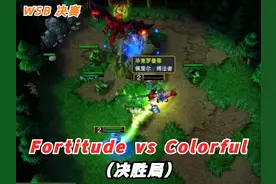 WSB决赛 Fortitude vs Colorful（决胜局）#FLY陆维梁 #魔兽争霸3视频封面
