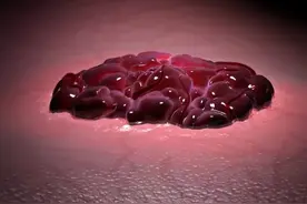 癌细胞为什么就不能和人体和平共处非要同归于尽？ #医学科普 #刘南教授