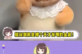 就说到底是哪个天才发明的金晨，怎么能这么好玩！！#金晨 #BKT护腰坐姿椅视频封面