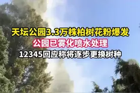 北京天坛公园3.3万株柏树花粉爆发，公园已雾化喷水，12345回应称将逐步更换树种视频封面