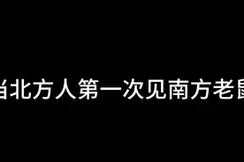 当北方人第一次见南方老鼠 #沙雕动画 #南方的老鼠有多大视频封面