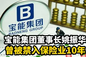 宝能集团董事长姚振华 曾被禁入保险业10年#地产人视频封面
