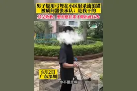 男子用弓箭射伤流浪猫其父致歉：会加强孩子的教育 已将弓箭交给警方视频封面