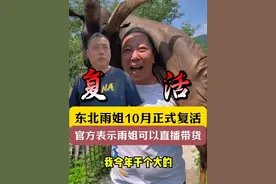 东北雨姐10月份正式复活！官方表示雨姐可以直播带货！ #东北雨姐