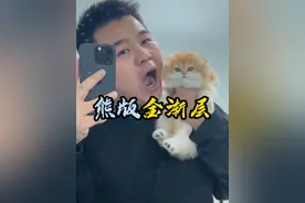 漂亮的小猫当然得多亲呀 发去新家就亲不到咯~#壮实说猫 #熊版金渐层