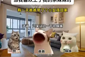 当我喜欢上了我的亲妹妹时 #猫meme #猫meme剧场 #内容过于真实视频封面