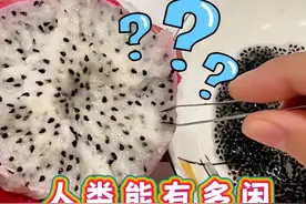 人类到底有多闲？你们还是吃太饱！视频封面