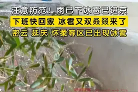 注意防范！#雨已下冰雹已进京 ，下班快回家。冰雹又双叒叕来了，今日18时后，密云、延庆、怀柔等区已出现冰雹。#北京冰雹