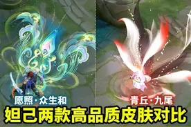 妲己年限皮肤【愿照众生和】对比无双皮肤【青丘九尾】有点尴尬呀视频封面