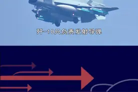 歼10CE只负责发射导弹，达索表示不服，后视镜里可看不到未来 #抖音热评 #歼10CE视频封面