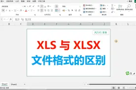 XLS与XLSX文件格式的区别 excel#excel #excel技巧 #excel教学视频封面