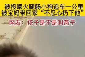 6月19日，河南，被投喂火腿肠小狗追车一公里，被宝妈带回家：“不忍心扔下他”。网友：孩子是不是叫燕子。#狗成精了 #流浪狗#暖心 #河南dou知道 @抖音短视频     视频封面