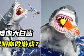 模型制作：嗜血如命的大白鲨，想要跟你玩游戏！#手工diy视频封面