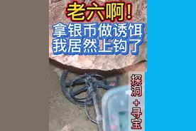 拿银币做诱饵，我上钩了 #山洞到底藏着什么 #金属探测器 #户外视频封面