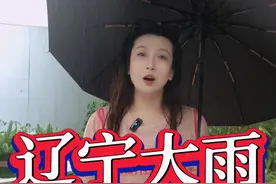 辽宁大雨何时停？ 辽宁大雨何时停？#大雨还在下 #大雨视频封面