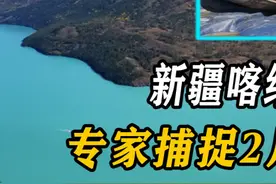 新疆喀纳斯湖惊现“水怪”，专家渔民捕捉2月，结果却大吃一惊 #诡异生物 #水怪 #动物科普视频封面