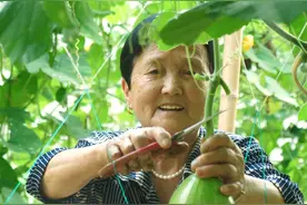 从娘家返程时，后备箱是不是都满满的？这道超级下饭的家常菜，嫩南瓜炒肉丝秘籍在这!#跟着抖音学做菜 