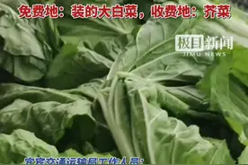 皮卡司机自称运白菜走2段高速，一次免费一次要收费，两地交通运输局说法不一样（独家采访）视频封面