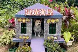 男人竟利用红砖与玻璃瓶建造一座狗屋，冬暖夏凉，太棒了视频封面