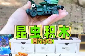 公园发现超大甲壳虫！原来是拼装积木，底部还有4个轮子！ #玩具视频封面