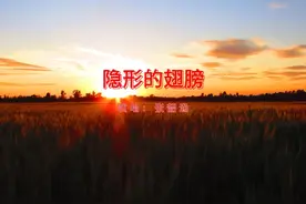 《隐形的翅膀》之所以如此火爆，是因为它独特的励志主题视频封面