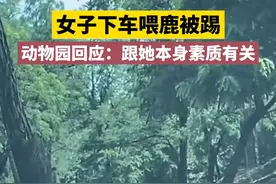 女子下车喂鹿被踢 动物园回应：跟她本身素质有关视频封面