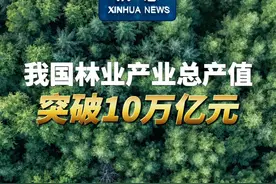 新华社消息｜我国林业产业总产值突破10万亿元视频封面
