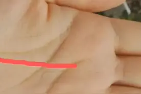 容易属于女强人的手相！ #手相 #掌纹的秘密 #手纹视频封面