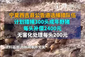 宁夏西吉县公告遴选捕猎队伍，计划猎捕300头成年野猪，每头补偿2400元视频封面