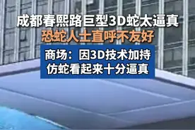 多方回应成都春熙路巨型3D蛇太逼真吓人 视频封面