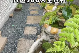 记录一下花一年半亲手改造老房的全过程 老婆已经迫不及待的想住进去了，预计再来500天就改造完成了#创作灵感灵#我的乡村生活生#改造前vs改造后造#旧房改造改#改造小院视频封面