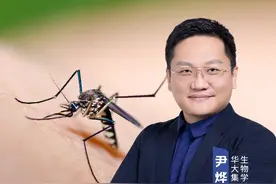 蚊子开饭认的是汗味、深色系，这7类人自带“叮我”气息。#尹烨科普  #生命科学  #蚊子  #蚊子叮咬