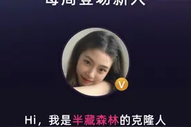包月30元能与半藏森林视频通话，一万个用户订阅一年收入可高达72万？这个大模型变现盯上“网红克隆人”视频封面